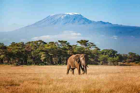 British Airways Announces New Tanzania Flights to Kilimanjaro and Zanzibar for Summer 2027