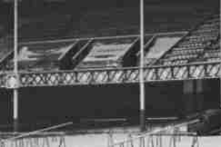 cropped-cropped-snow-goodison-2-1.jpg