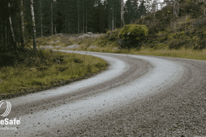 9261590-2d259933-72f8-bac0-689f-dfdb60c4c48e-1-scaled-1.png