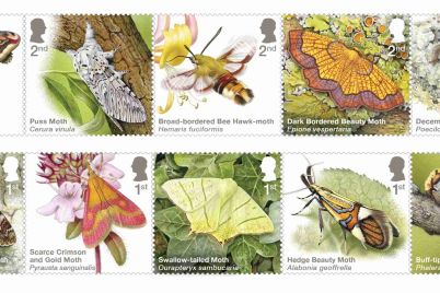Moths-Stamps.jpg