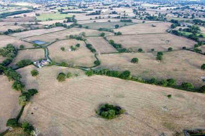 dji_fly_20260814_071940_184_1786688725687_photo_optimized-Barenbrug-2.jpg