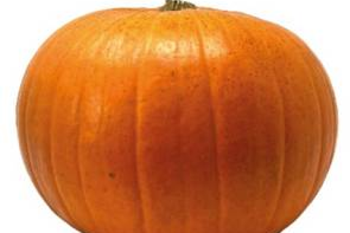 pumpkin.png